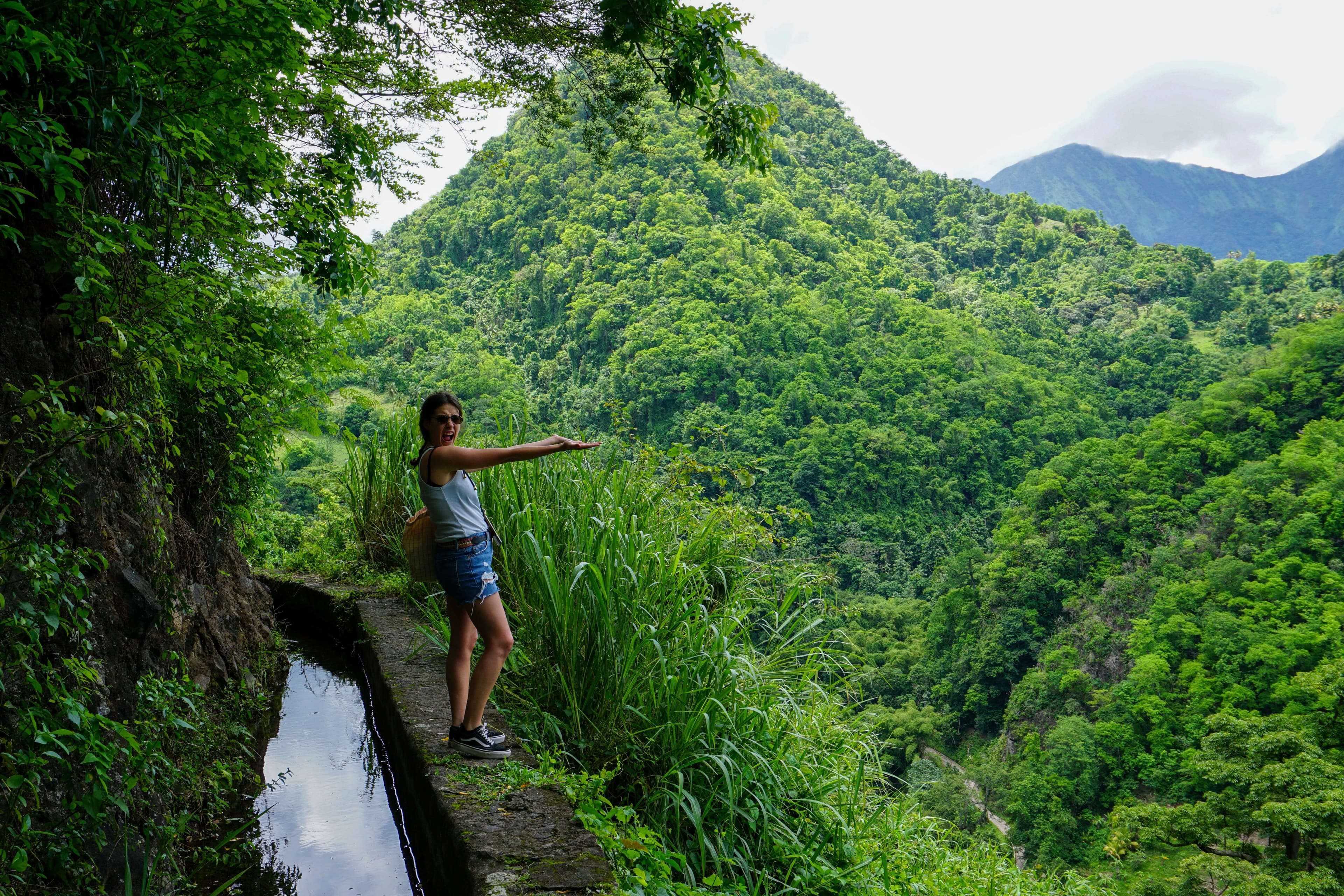 Hiking in the lush vegetation of northern Martinique