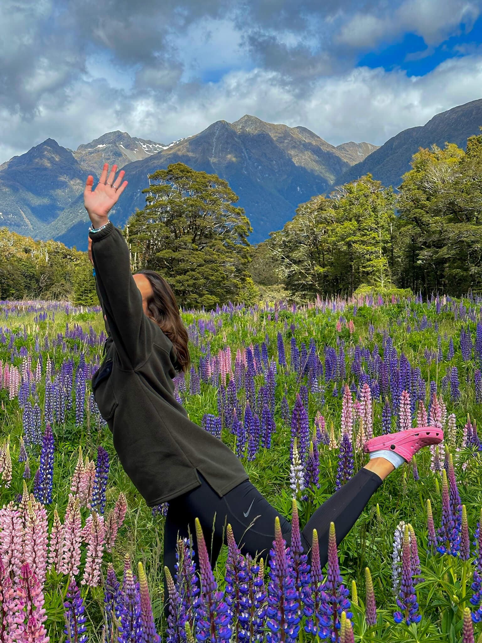 Lupin field in New Zealand