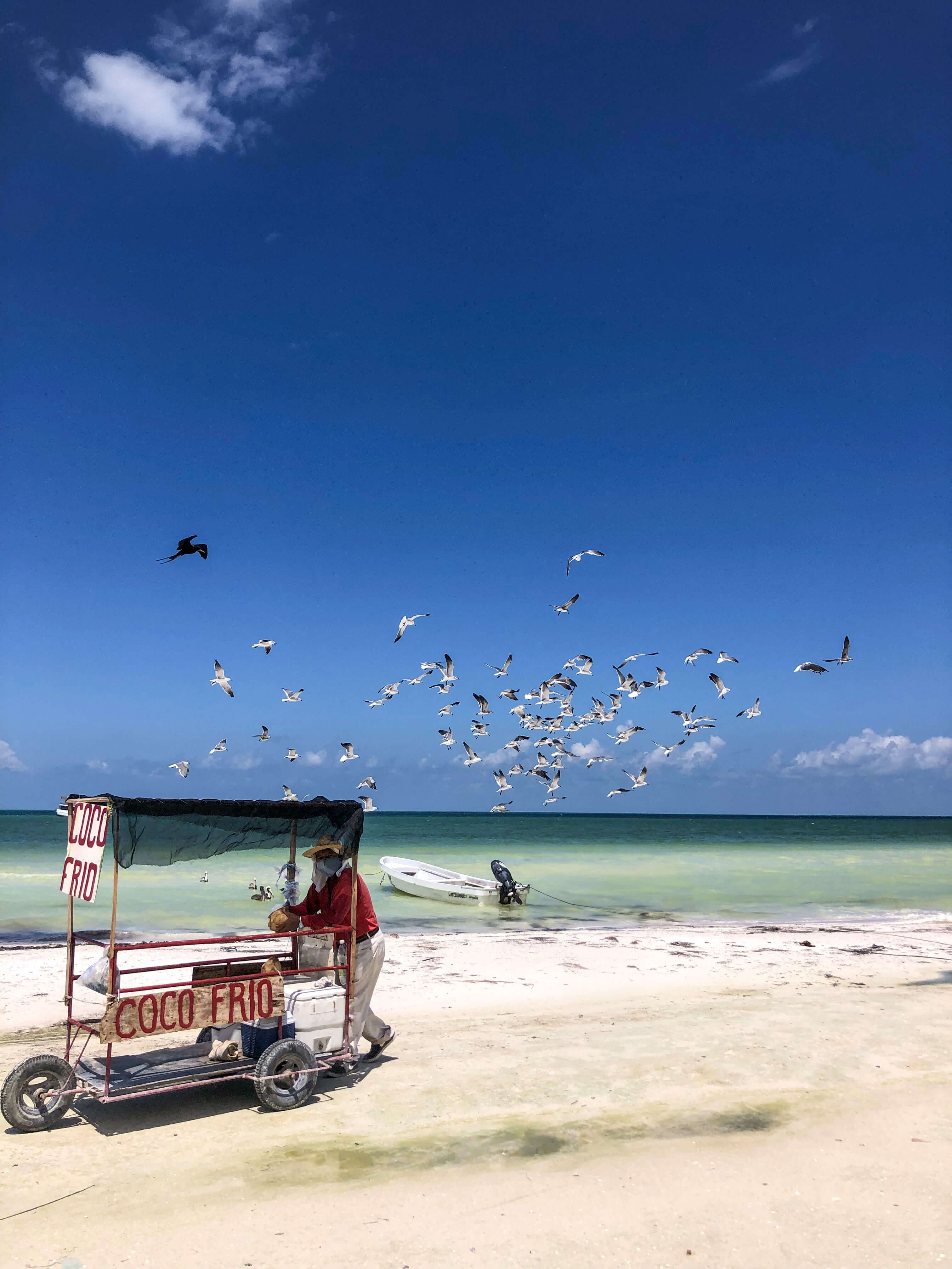 Paradise beach in Mexico with a coconut seller