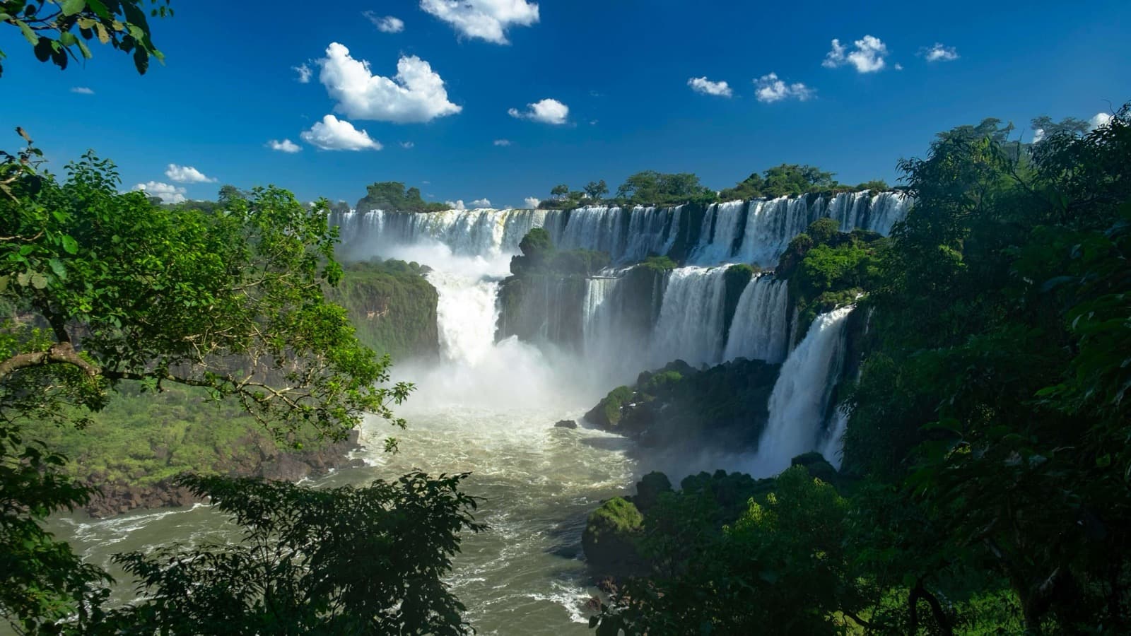 The Iguazú Falls pouring through a lush tropical jungle in Argentina
