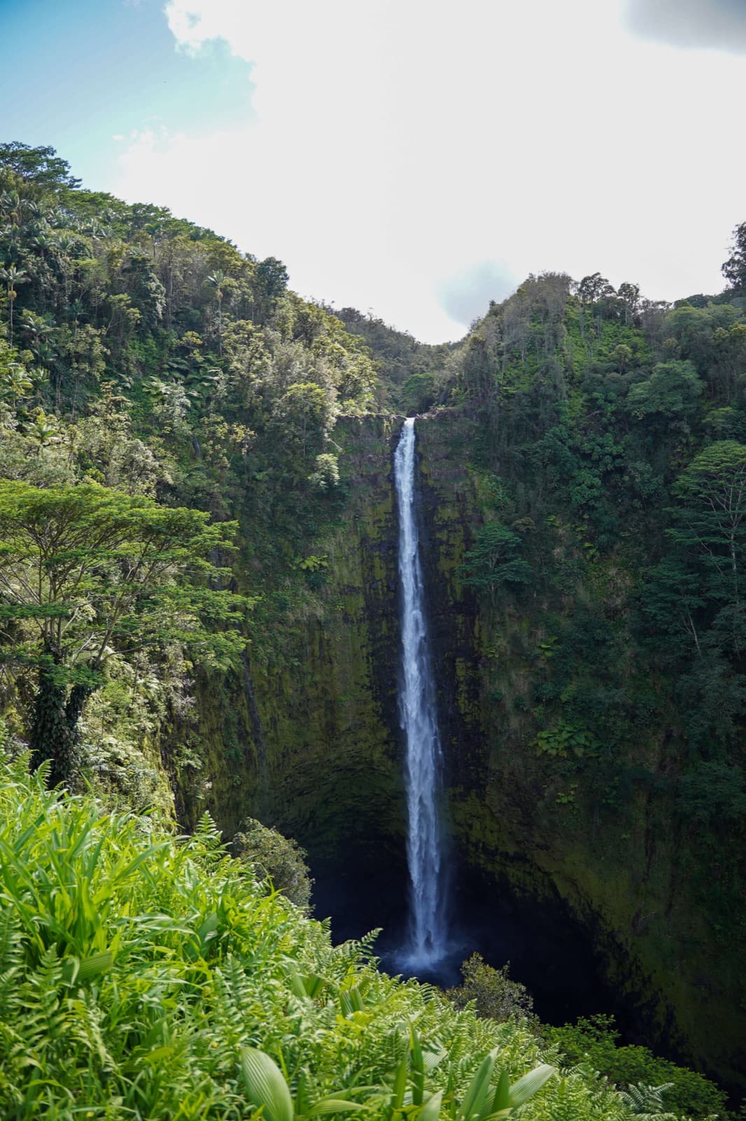 Akaka Falls plunging into a lush tropical gorge on the Big Island of Hawaii