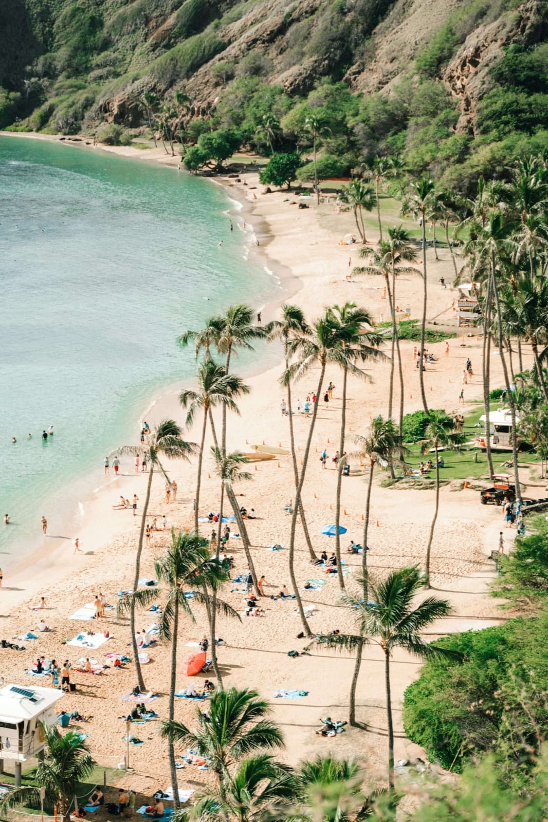 Crescent beach lined with palm trees and the turquoise lagoon of Hanauma Bay in Hawaii