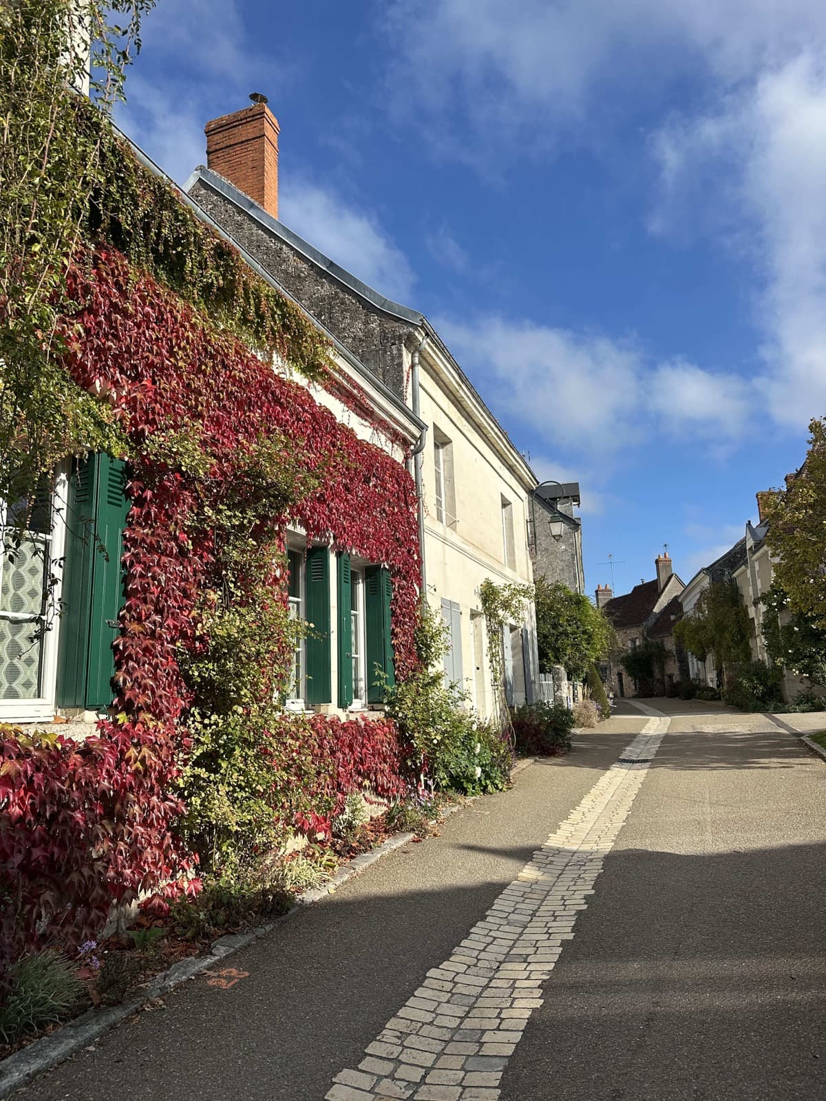 Flower-lined street of the village of Chédigny with a house covered in red Virginia creeper in autumn