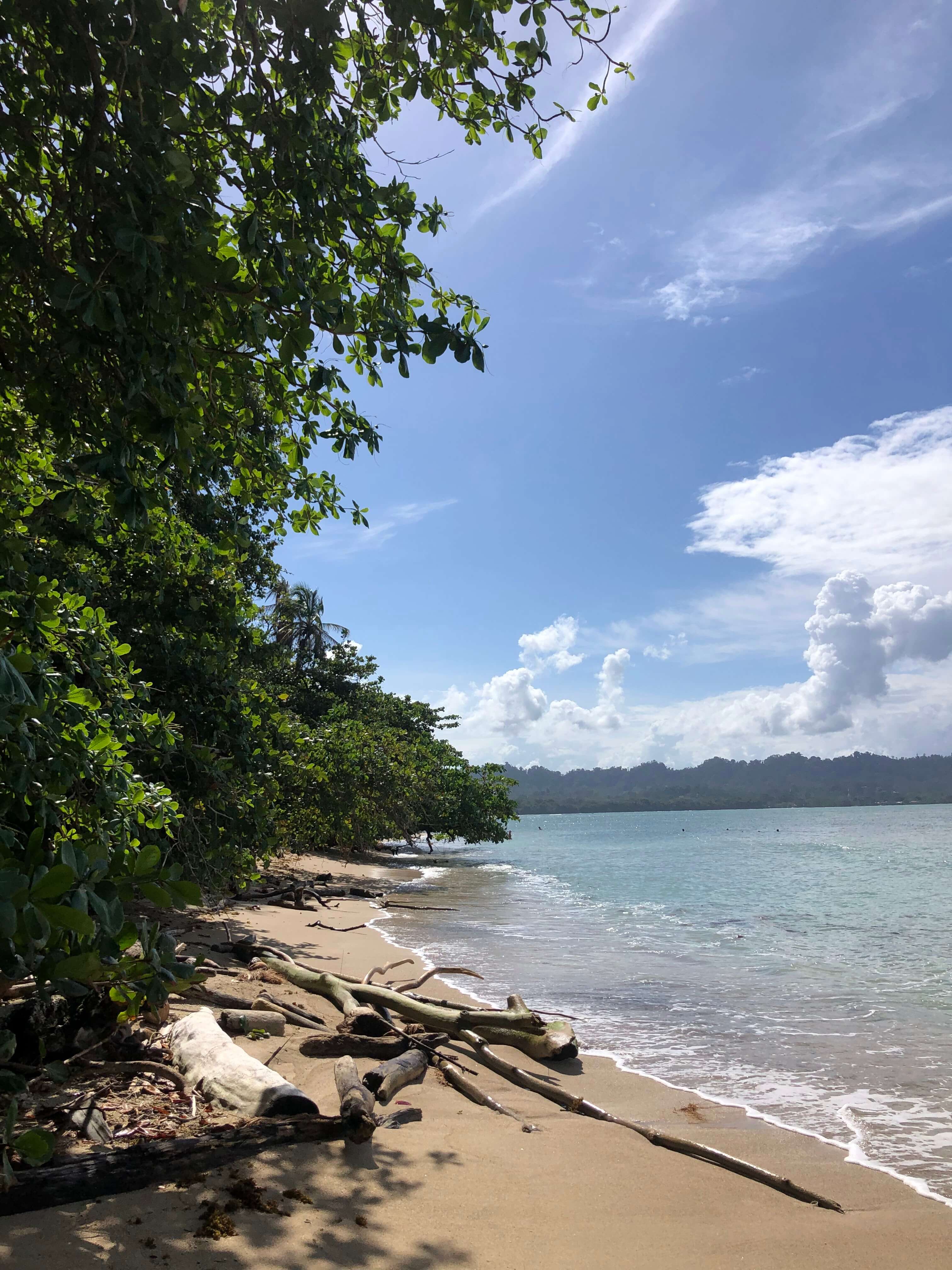 Beach bordered by tropical forest in Cahuita on Costa Rica's Caribbean coast