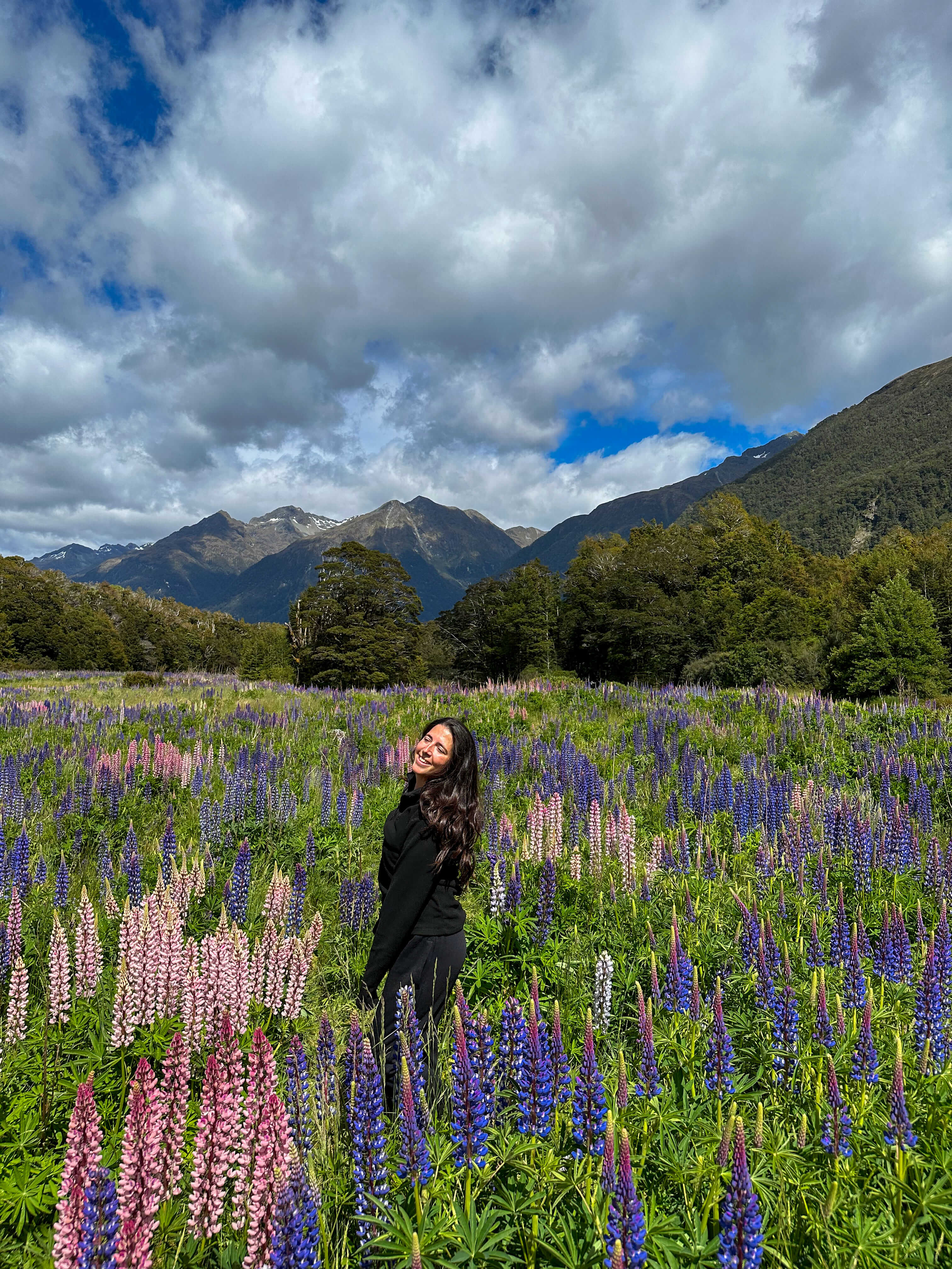 Maïlys au milieu des lupins en fleurs en Nouvelle-Zélande