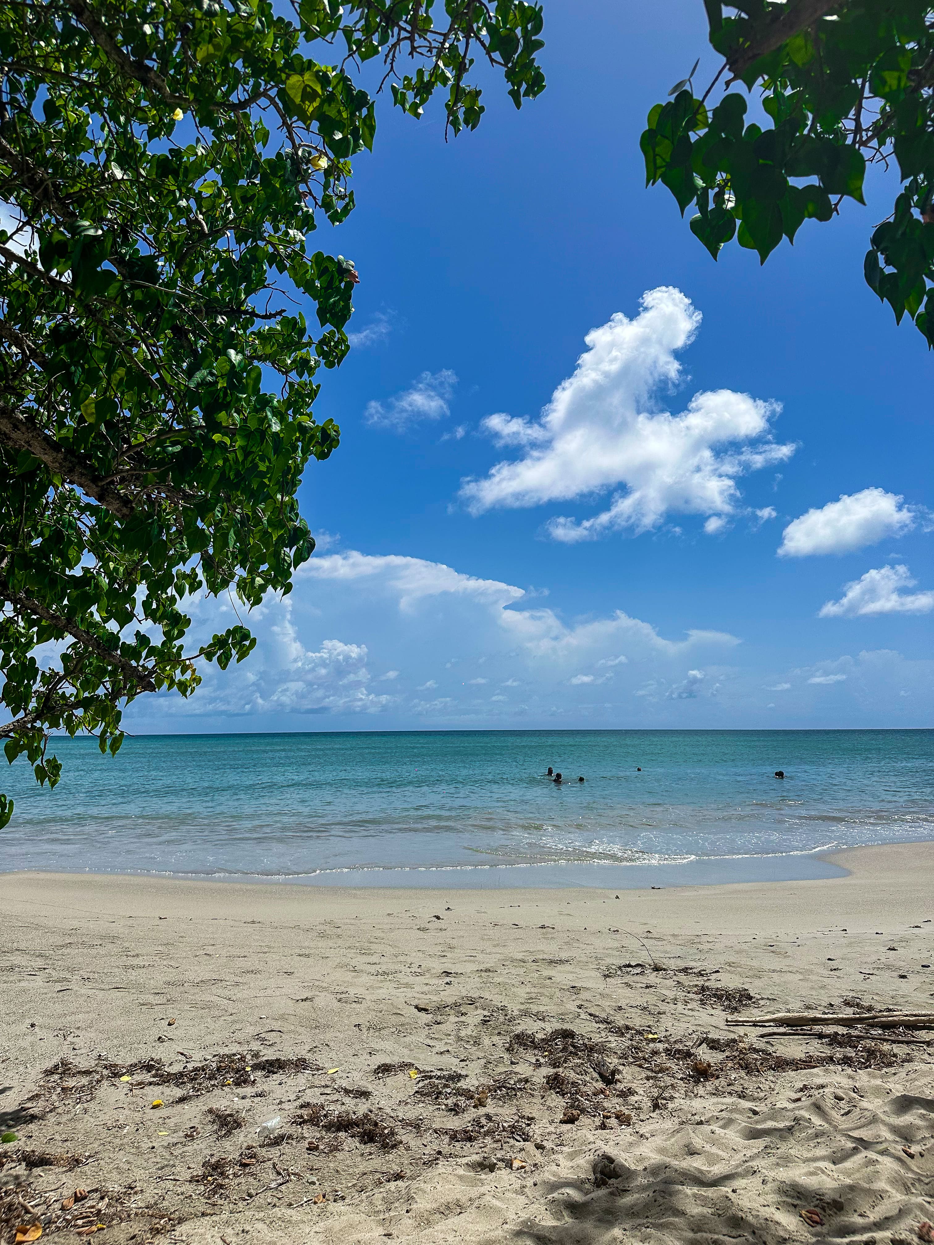 Plage de sable de la Martinique
