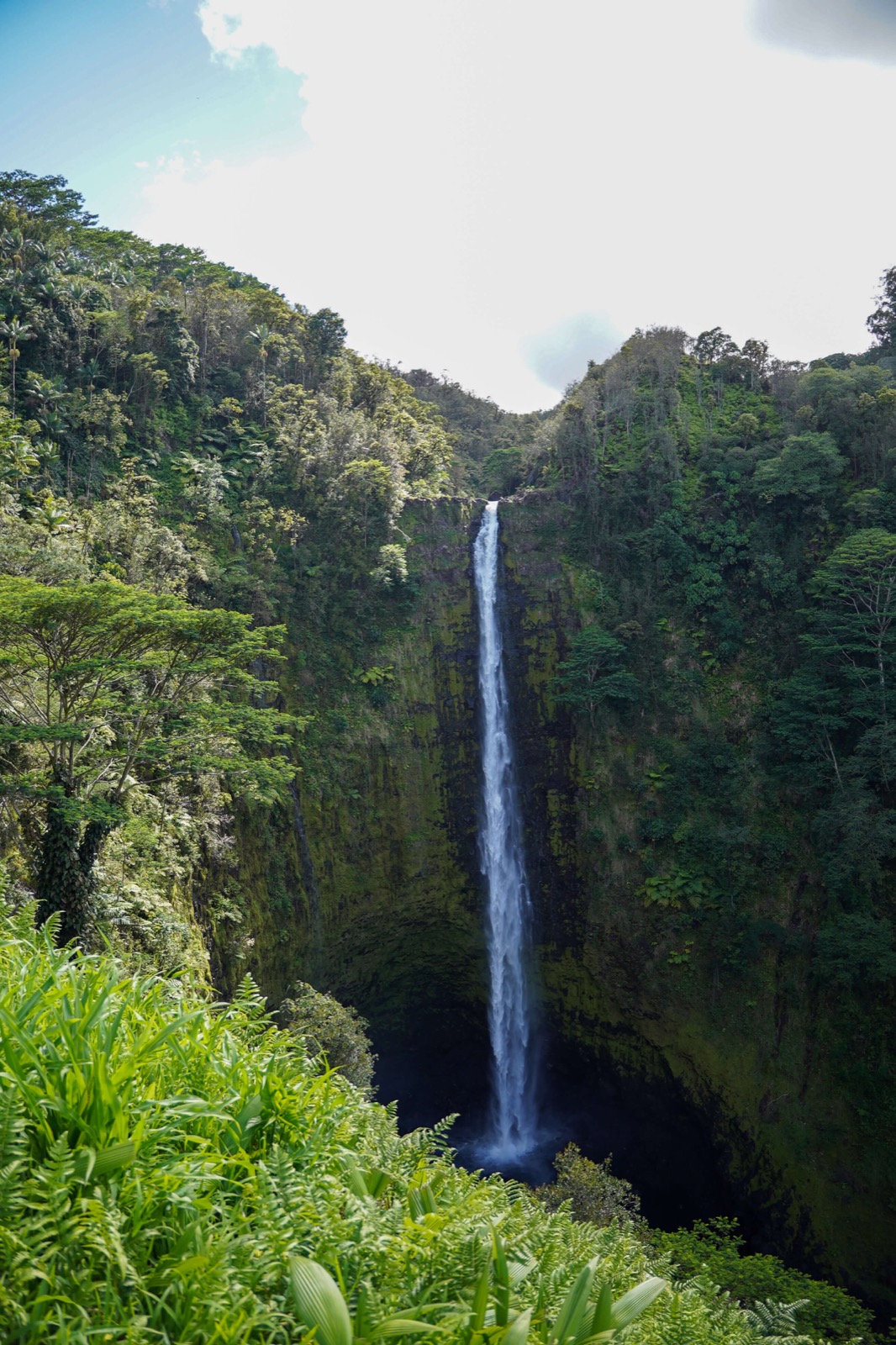 Cascade d'Akaka plongeant dans une gorge tropicale luxuriante sur Big Island à Hawaï