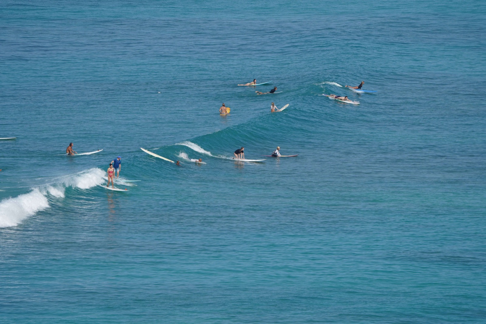 Surfeurs dans l'eau turquoise attendant la vague au large de Waikiki à Hawaï