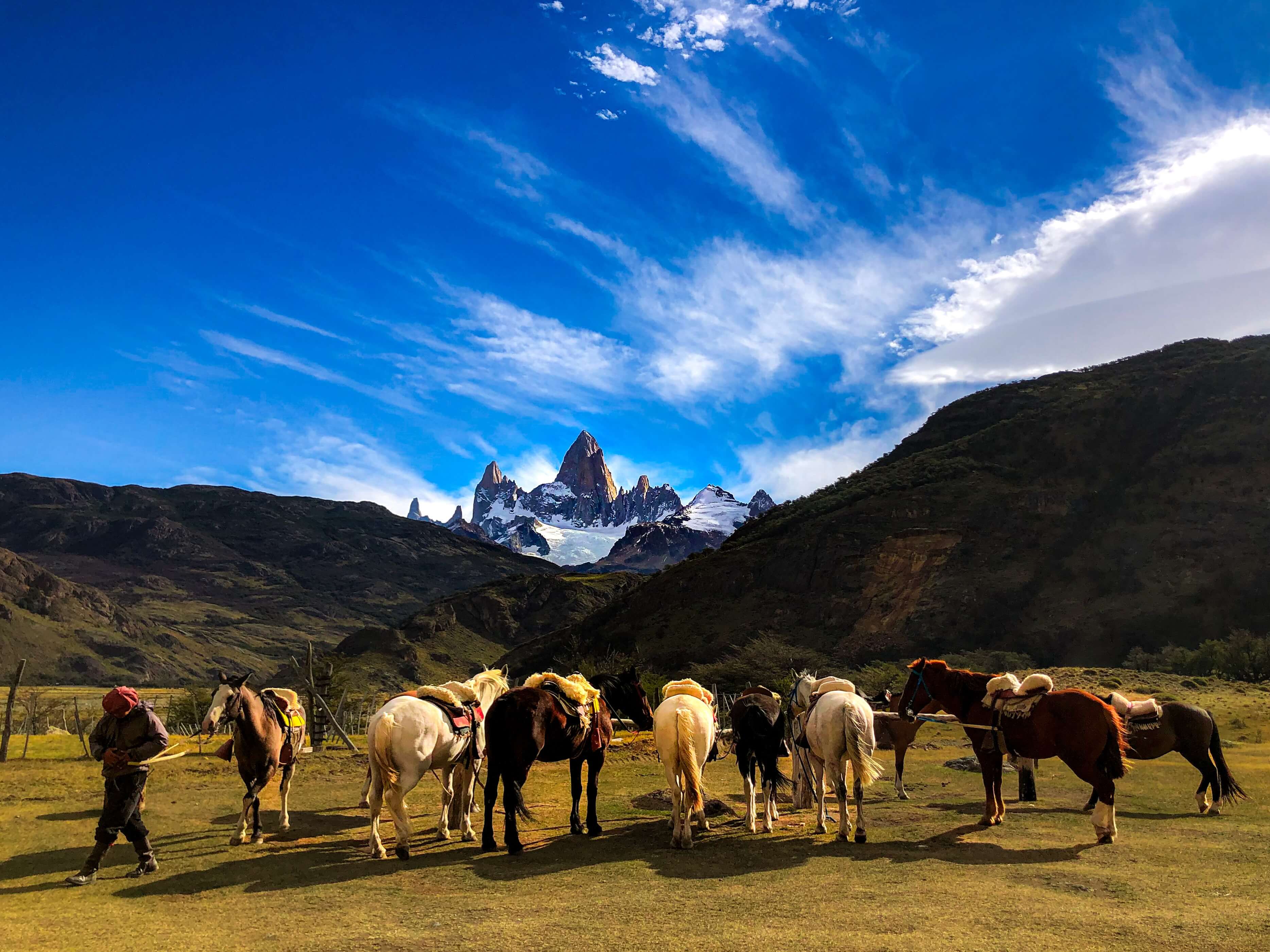 Chevaux devant le Fitz Roy en Patagonie